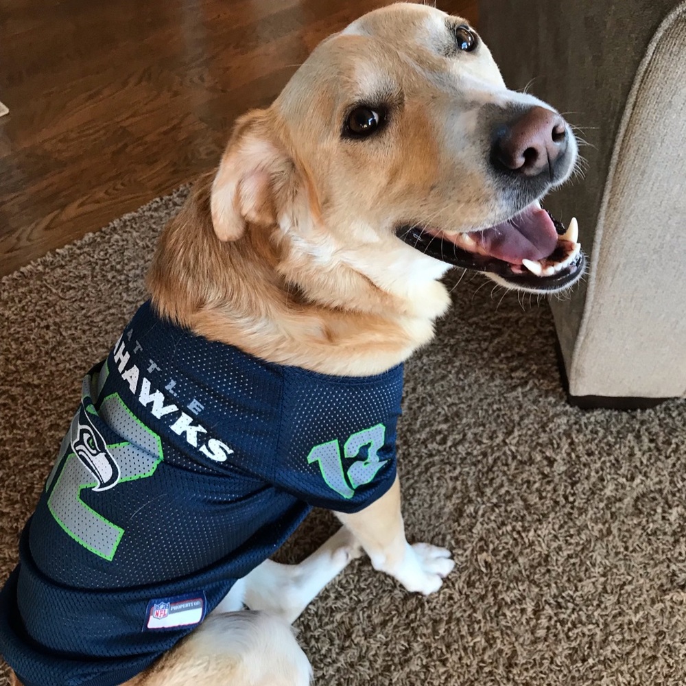 Dog Football Jersey